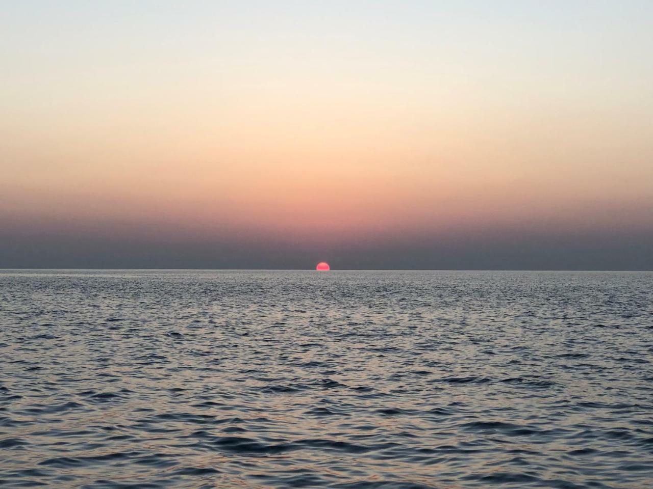 فيلا دايف ثودو المظهر الخارجي الصورة
